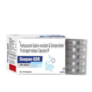 Geepan-DSR