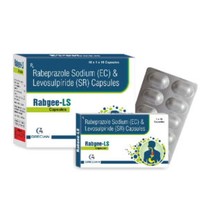 Rabgee-LS